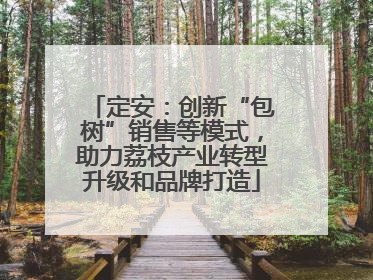 定安：创新“包树”销售等模式，助力荔枝产业转型升级和品牌打造