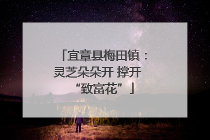宜章县梅田镇：灵芝朵朵开 撑开“致富花”