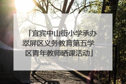 宜宾中山街小学承办翠屏区义务教育第五学区青年教师晒课活动