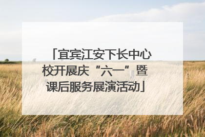 宜宾江安下长中心校开展庆“六一”暨课后服务展演活动