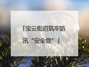 宝云街道筑牢防汛“安全堤”