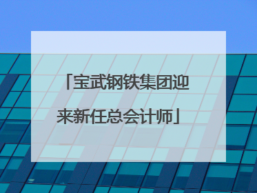 宝武钢铁集团迎来新任总会计师