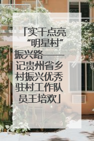 实干点亮“明星村”振兴路——记贵州省乡村振兴优秀驻村工作队员王培欢