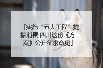 实施“五大工程”提振消费 四川这份《方案》公开征求意见