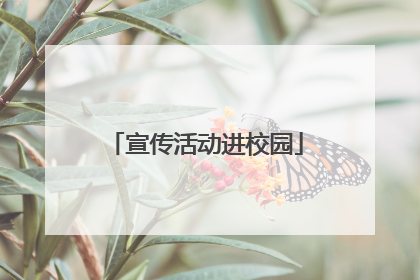 宣传活动进校园