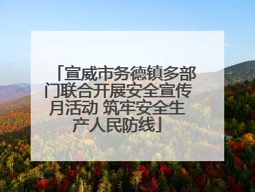 宣威市务德镇多部门联合开展安全宣传月活动 筑牢安全生产人民防线