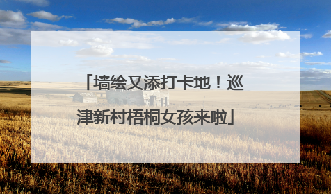 墙绘又添打卡地！巡津新村梧桐女孩来啦