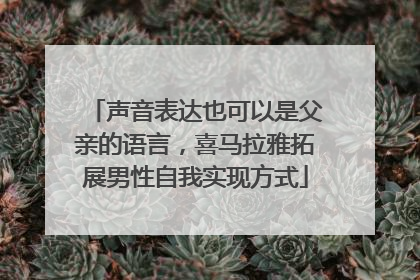 声音表达也可以是父亲的语言，喜马拉雅拓展男性自我实现方式