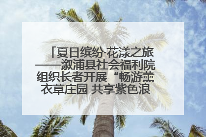 夏日缤纷·花漾之旅——溆浦县社会福利院组织长者开展“畅游薰衣草庄园 共享紫色浪漫”户外活动