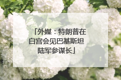 外媒：特朗普在白宫会见巴基斯坦陆军参谋长