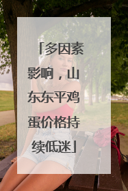 多因素影响，山东东平鸡蛋价格持续低迷