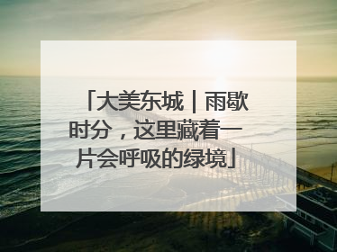 大美东城｜雨歇时分，这里藏着一片会呼吸的绿境