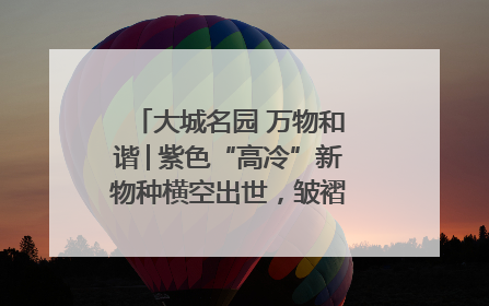 大城名园 万物和谐│紫色“高冷”新物种横空出世，皱褶叶片暗藏进化密码