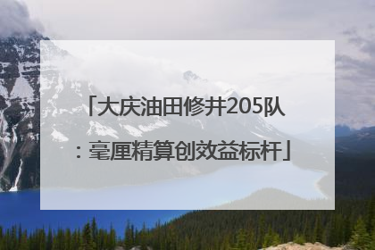 大庆油田修井205队：毫厘精算创效益标杆