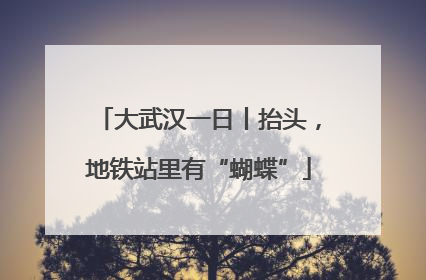 大武汉一日丨抬头，地铁站里有“蝴蝶”