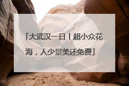 大武汉一日丨超小众花海，人少景美还免费