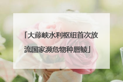 大藤峡水利枢纽首次放流国家濒危物种唇鲮