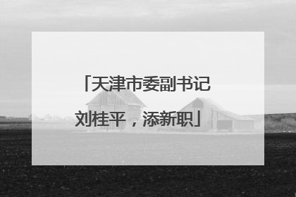 天津市委副书记刘桂平，添新职