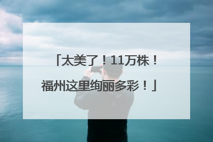 太美了！11万株！福州这里绚丽多彩！