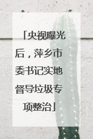 央视曝光后，萍乡市委书记实地督导垃圾专项整治