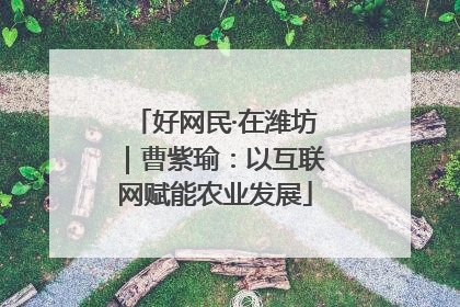 好网民·在潍坊｜曹紫瑜：以互联网赋能农业发展