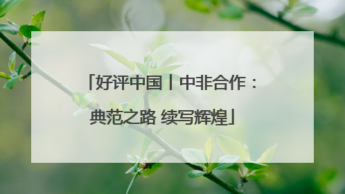 好评中国丨中非合作：典范之路 续写辉煌