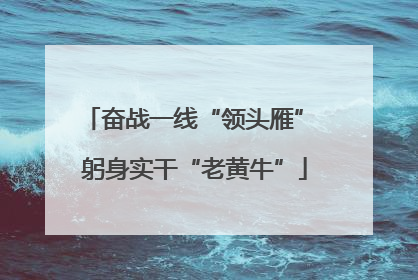 奋战一线“领头雁” 躬身实干“老黄牛”