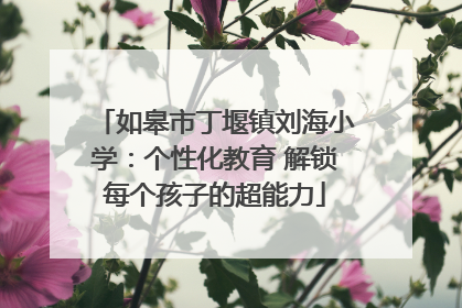 如皋市丁堰镇刘海小学：个性化教育 解锁每个孩子的超能力