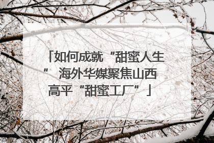 如何成就“甜蜜人生” 海外华媒聚焦山西高平“甜蜜工厂”
