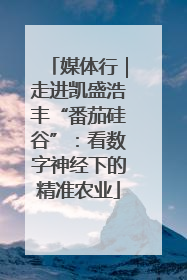 媒体行｜走进凯盛浩丰“番茄硅谷”：看数字神经下的精准农业