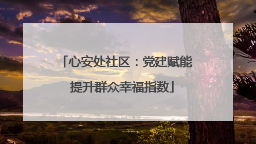 心安处社区：党建赋能 提升群众幸福指数