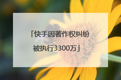 快手因著作权纠纷被执行3300万