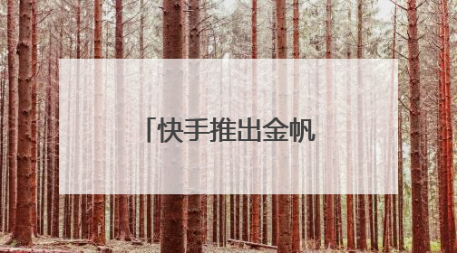 快手推出金帆计划：20亿流量赋能获客