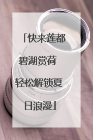 快来莲都碧湖赏荷 轻松解锁夏日浪漫