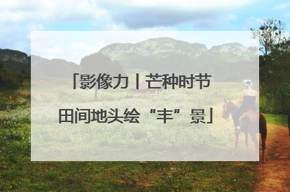 影像力丨芒种时节 田间地头绘“丰”景