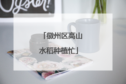 徽州区高山水稻种植忙