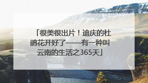 很美很出片！迪庆的杜鹃花开好了——有一种叫云南的生活之365天