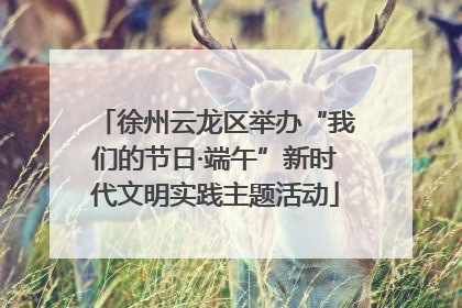 徐州云龙区举办“我们的节日·端午”新时代文明实践主题活动