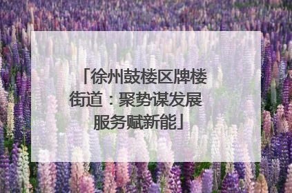 徐州鼓楼区牌楼街道：聚势谋发展 服务赋新能
