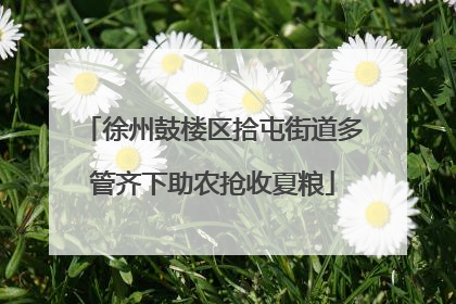 徐州鼓楼区拾屯街道多管齐下助农抢收夏粮