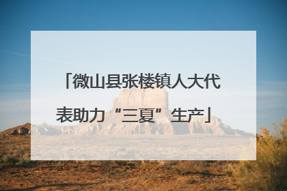 微山县张楼镇人大代表助力“三夏”生产
