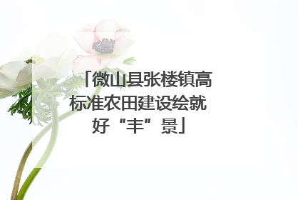 微山县张楼镇高标准农田建设绘就好“丰”景