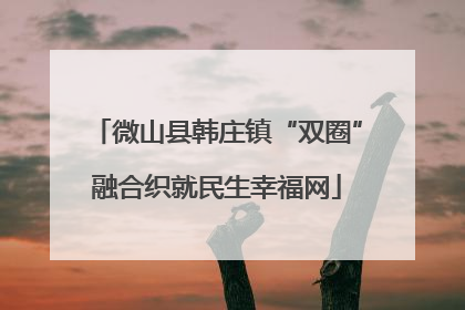 微山县韩庄镇“双圈”融合织就民生幸福网