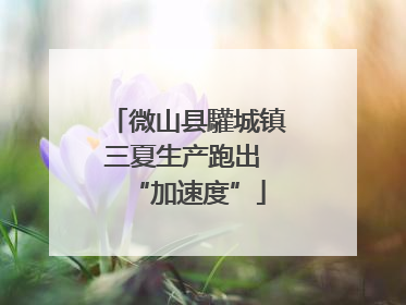 微山县驩城镇三夏生产跑出 “加速度”