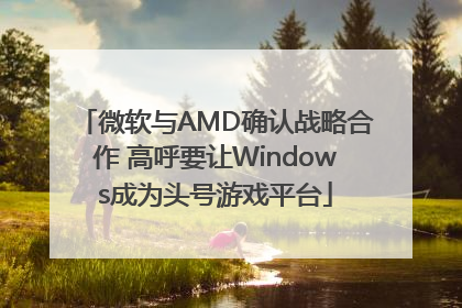 微软与AMD确认战略合作 高呼要让Windows成为头号游戏平台
