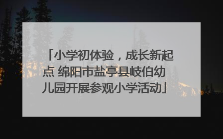 小学初体验，成长新起点 绵阳市盐亭县岐伯幼儿园开展参观小学活动