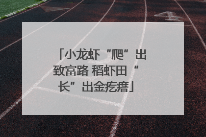 小龙虾“爬”出致富路 稻虾田“长”出金疙瘩