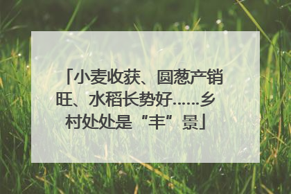 小麦收获、圆葱产销旺、水稻长势好……乡村处处是“丰”景