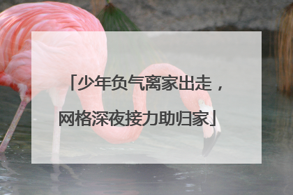 少年负气离家出走，网格深夜接力助归家