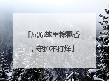 屈原故里粽飘香，守护不打烊